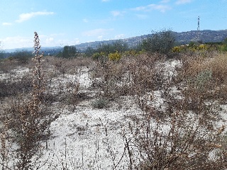 POLIGONO 9 PARCELA 14