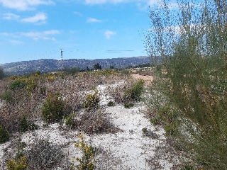 POLIGONO 9 PARCELA 15