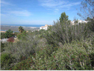 Otros en venta en Dénia