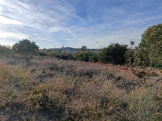 CAMBRILLAS (POLIGONO 27, PARCELA 88) 3