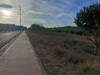 CAMBRILLAS (POLIGONO 27, PARCELA 88) 5