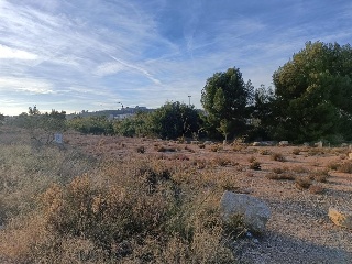CAMBRILLAS (POLIGONO 27, PARCELA 88) 6