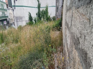 MONUMENTO 7