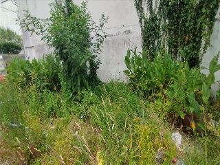 MONUMENTO 15