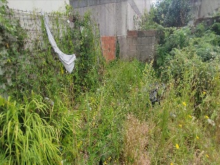 MONUMENTO 16
