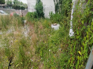 MONUMENTO 18