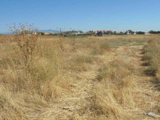 SECTOR PAU 1.SECTOR 2 POLIGONO 28 4