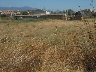 SECTOR PAU 1.SECTOR 2 POLIGONO 28 6