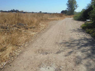 SECTOR PAU 1.SECTOR 2 POLIGONO 28 10