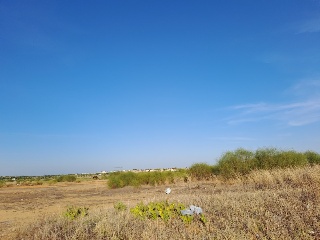 ARQUIMEDES 13