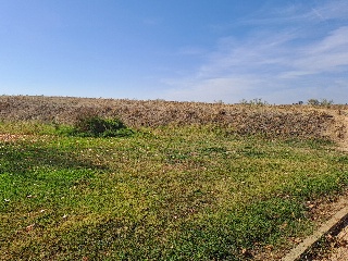 ARQUIMEDES 16