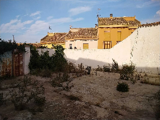 SAN JULIAN 4