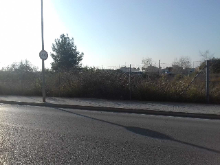 BARRANC DE GAIANES 7
