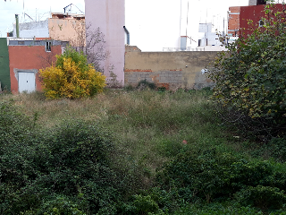 JOSE BLANES DIEZ 5