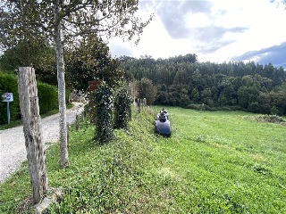 PERELADA 3