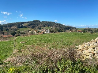 PERELADA 5