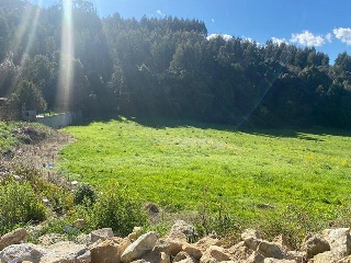 PERELADA 7