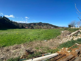 PERELADA 8