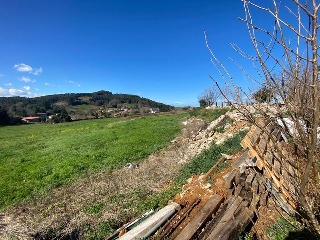 PERELADA 9
