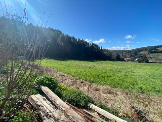 PERELADA 10