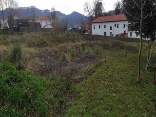 EL PUENTE.EL ROTIZON 4