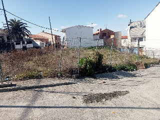 CRUCES 5