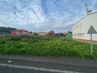 OSEDO 3