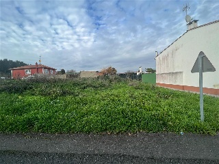 OSEDO 6