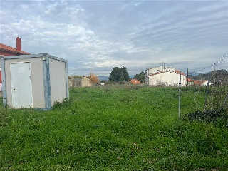OSEDO 8