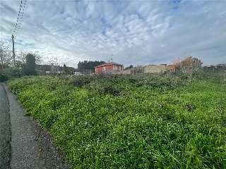 OSEDO 10