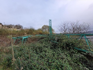 EL PEDROUZO, FINCA DEL QUINTANAL 3