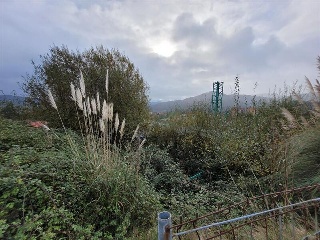 EL PEDROUZO, FINCA DEL QUINTANAL 4