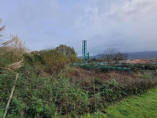 EL PEDROUZO, FINCA DEL QUINTANAL 5