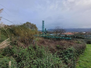 EL PEDROUZO, FINCA DEL QUINTANAL 6