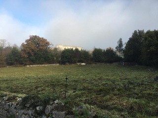 EL QUINTANAL 7