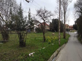 DE ROMANO.UNIDA 5