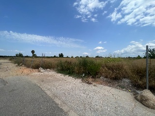 CALLE, SUR-5 PARCELA 37-7 6
