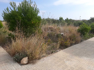 Carrer de Formentera, 1 5