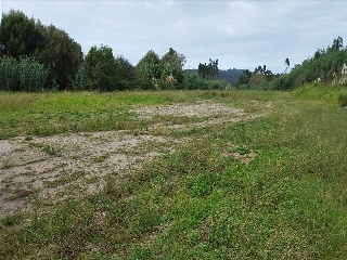 VINQUIÑO-ADINA 4