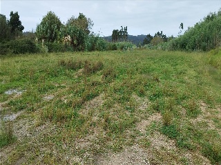 VINQUIÑO-ADINA 12
