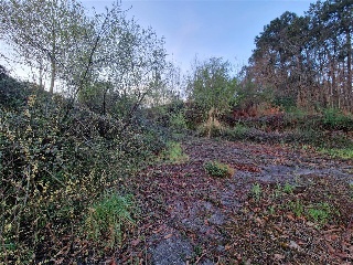 PARAJE DE AGREDO 13