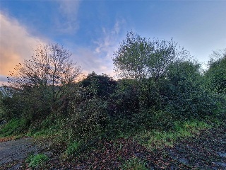 PARAJE DE AGREDO 15