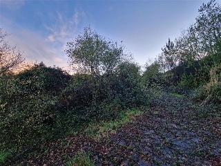 PARAJE DE AGREDO 17