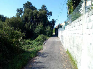 REGUEIRAS (AS), 5