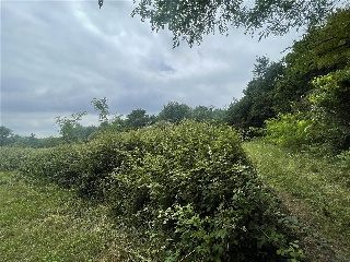 REGUEIRAS (AS), 9