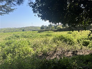 LA BARAGAÑA-DUE 2