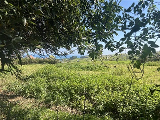 LA BARAGAÑA-DUE 4