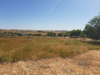 PILAREJO 9