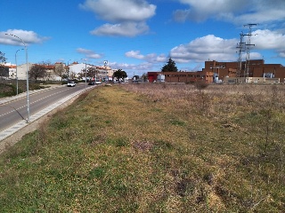 PILAREJO 6
