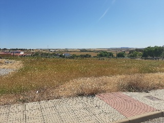 PILAREJO 16
